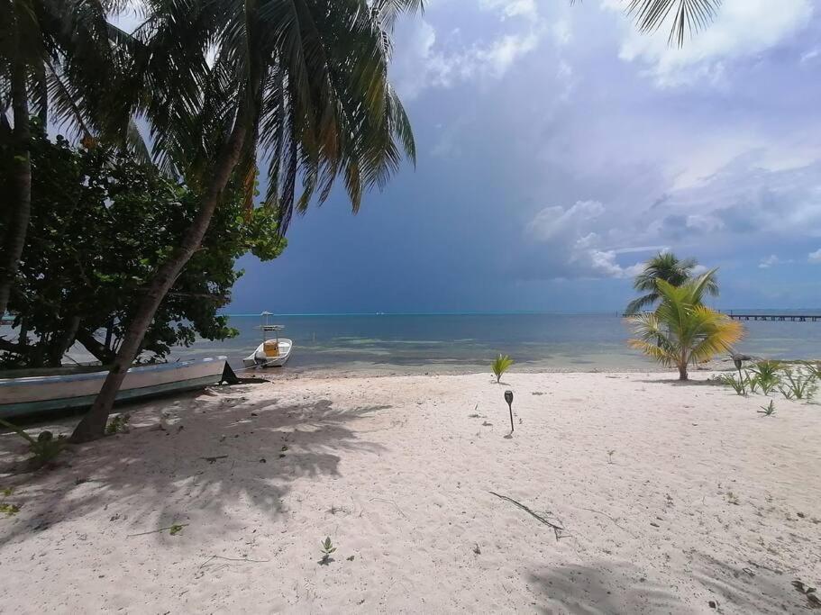 Marysol Great Views Beachfront Next To Nomads D3 イスラ・ムヘーレス エクステリア 写真